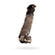 notify_thumb